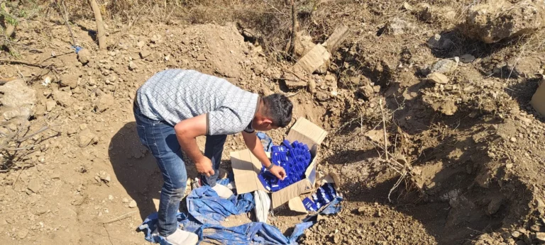 IMG-20260405-WA0065(1)