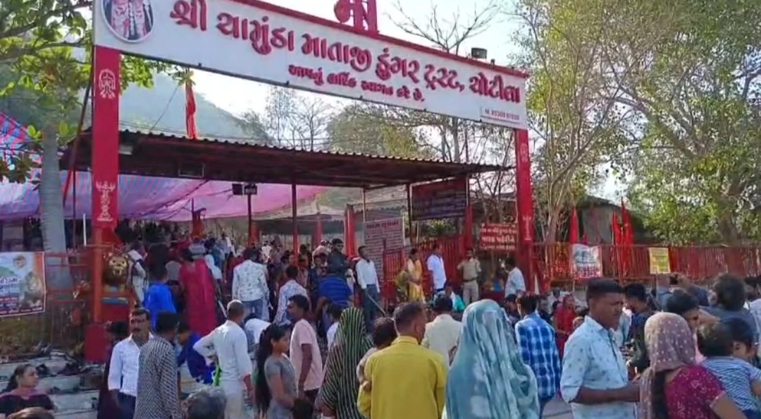 Screenshot_20260402-160356_WhatsApp